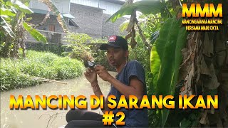 MANCING DI SARANG IKAN #2 - Mancing Mania Mancing