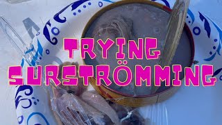 Trying Surströmming Canned Fermented Fish 2021 Puke Warning