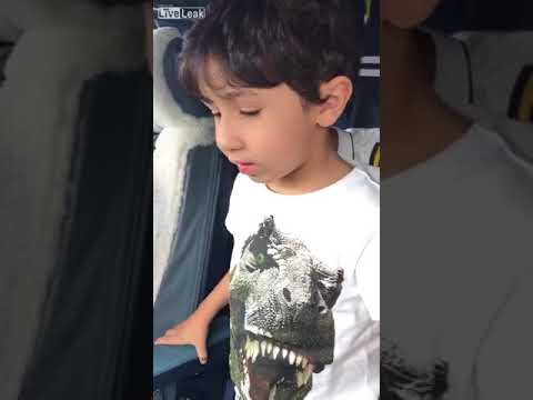 5 years old boy explain The ram air turbine (RAT)