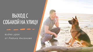 Выход на прогулку ч.1| Радик Аксанов