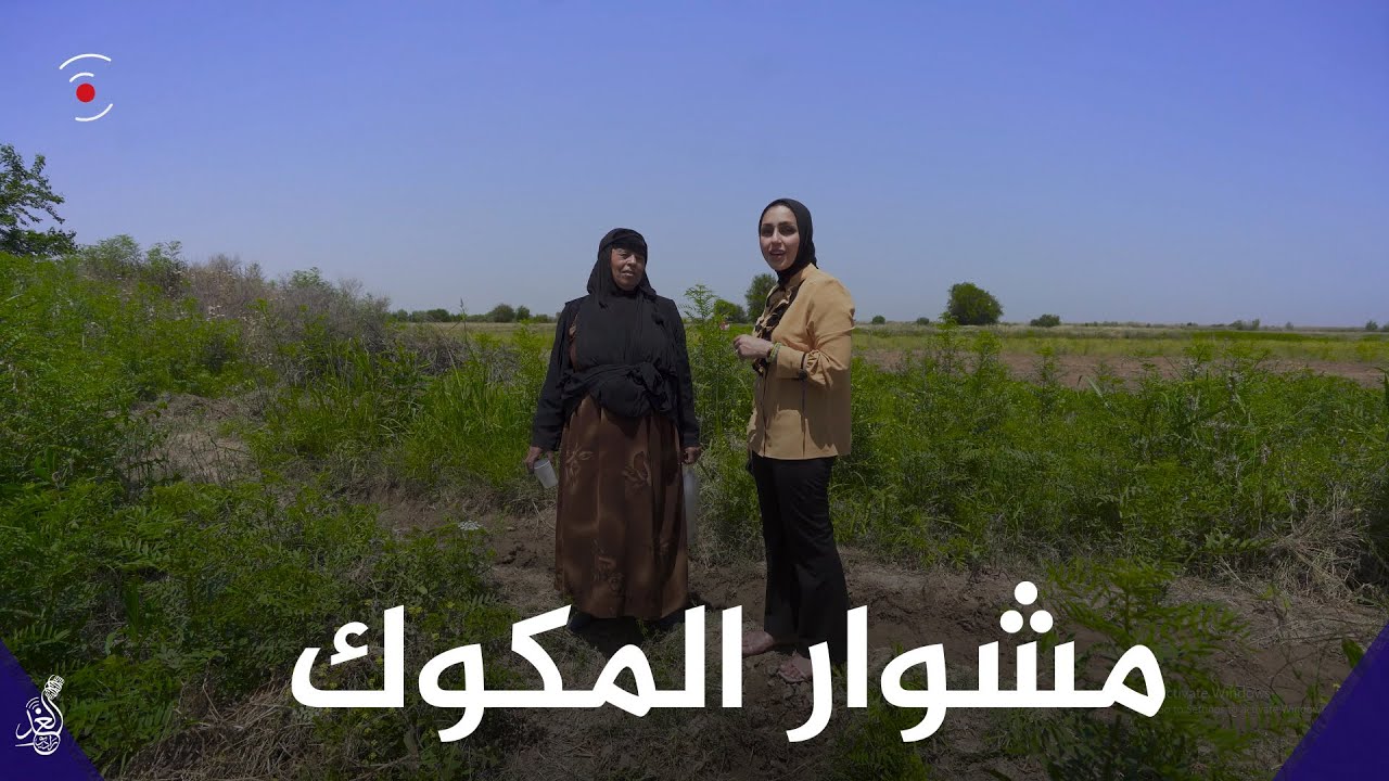 Очаровательная деревня с прекрасной природой на юге Мосула... Приезжайте и давайте познакомимся с...