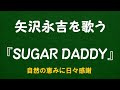 『SUGAR DADDY』/矢沢永吉を歌う_6138 by 自然の恵みに日々感謝