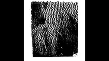 Pleasure Korps - What Is Where, Or Here? [Nostilevo #63]