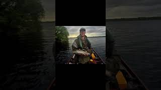 Day 5 Lough Erne on the mayfly #dryfly #fishing #browntroutfishing #mayfly #catchandrelease