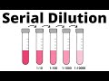 Understanding Serial Dilutions