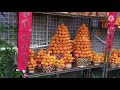 Pasar bunga di mongkok.