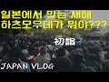직장인 브이로그 일본일상 - 2019년 새해 맞이  (Japan VLOG)