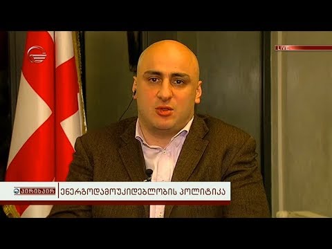 ნიკა მელია: არავის დაუყენებია ამდაგვარად საკითხი რომ ჰესები არ უნდა აშენდეს