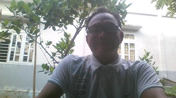 Tế bào ung thư "sợ nhất" 7 loại rau quả này