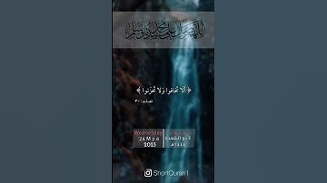 سورة فصلت آيه [30،31].