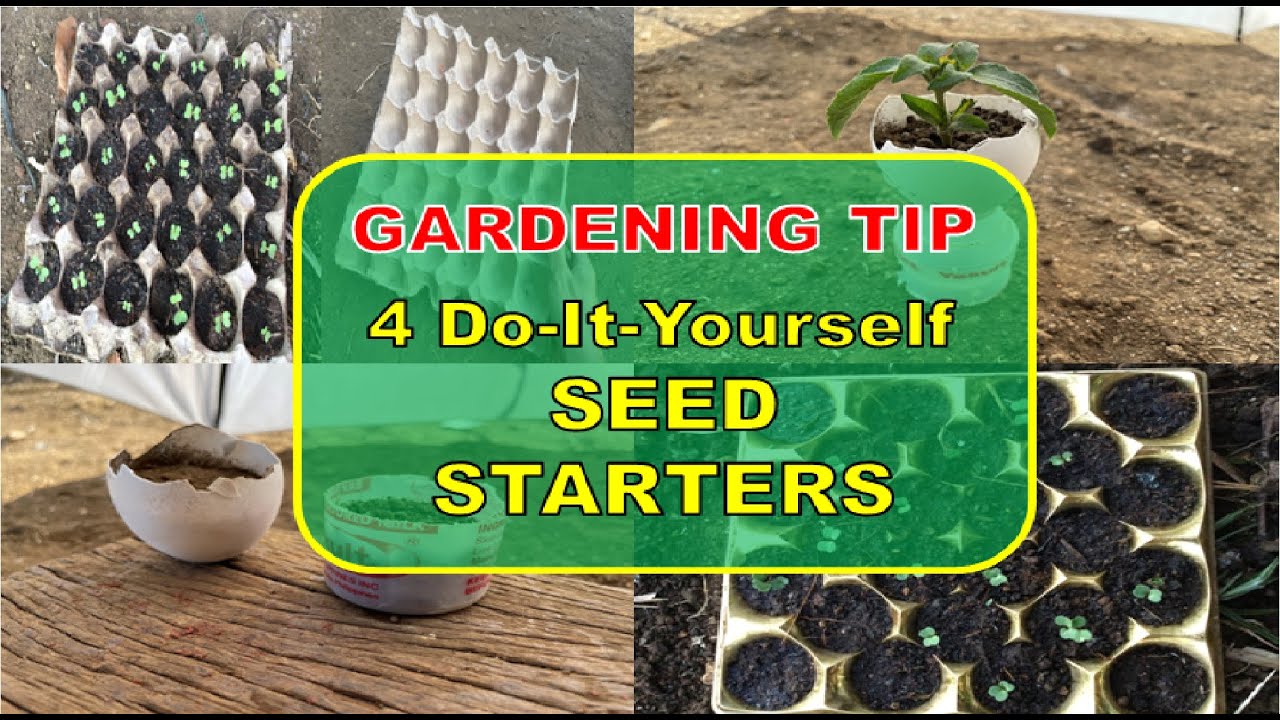 GARDENING IDEA: DIY SEED STARTERS | ALTERNATIVE TO SEEDLING TRAY