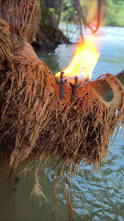 The mystery of the short green bamboo segment turns out to contain two sacred keris heirlooms #my...