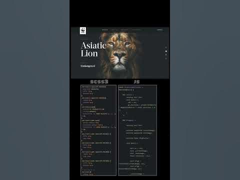 Swiper animation #html#css#js#swiper#animation - YouTube