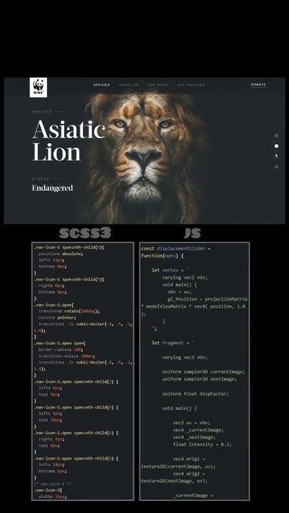 Swiper animation #html#css#js#swiper#animation - YouTube