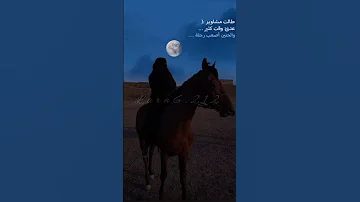 طالت المشاوير بدون موسيقى Explore اكسبلور Shorts 