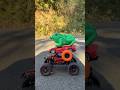 3 Best Remote Control Super Cars &amp; 1 Rc Animal Test🔥