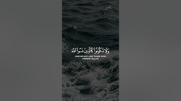 فلا تكونوا كالذين نسوا الله فانساهم انفسهم! | سورة الحشر | علي جابر