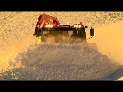 Au coeur des