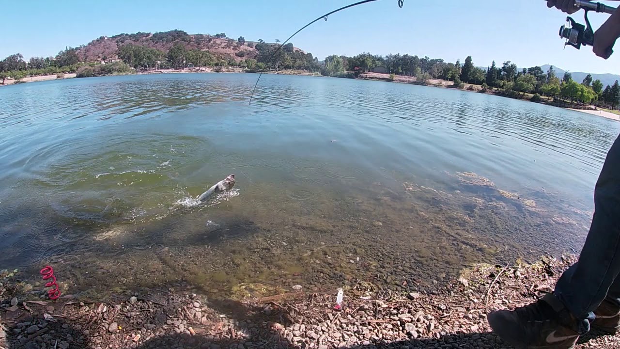 Fishing At Almaden Lake 17 YouTube