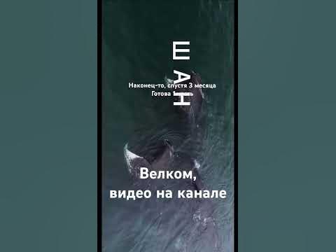 Путешествие на Шантарские острова. Часть 1 - YouTube