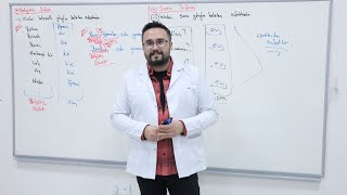 19Türk Dili Ve Edebiyatı Tyt - Zamir Adıl -Ii