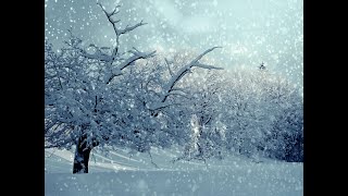 Люцина ХВОРОСТ - Тихо падає сніг (Музика Василя ДУНЦЯ, слова Олега ГЕРМАНА) [AUDIO]