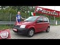 Fiat Panda - Test - Die tolle Kiste! - Review Fahrbericht Sound SHORT