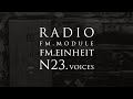 FM Module #23. Voices | FM Einheit