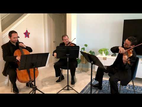 Sunset Strings' string trio performs Perfect