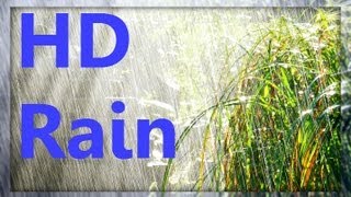 ☂ HD Rain Video  Watch Cold Lush Drops to Relax