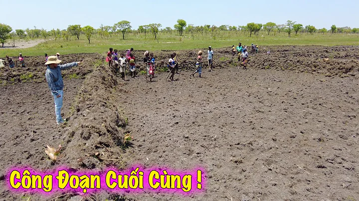 Linh Philip || Những Công Đoạn Cuối Cùng Trước Sự Thành Bại Trong Bản Mới CANDONGO