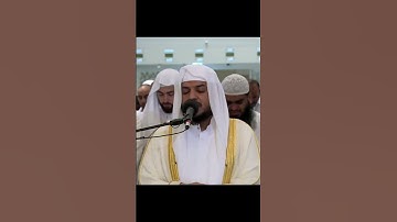 تلاوة هادئة هيثم دخين سورة الفتح محمد رسول الله والذين معه اشداء على الكفار رحماء بينهم #هيثم_دخين
