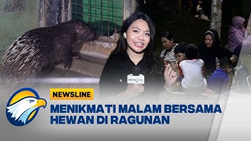 Baru Dibuka, "Night at the Ragunan Zoo" Ramai Pengunjung | Newsline