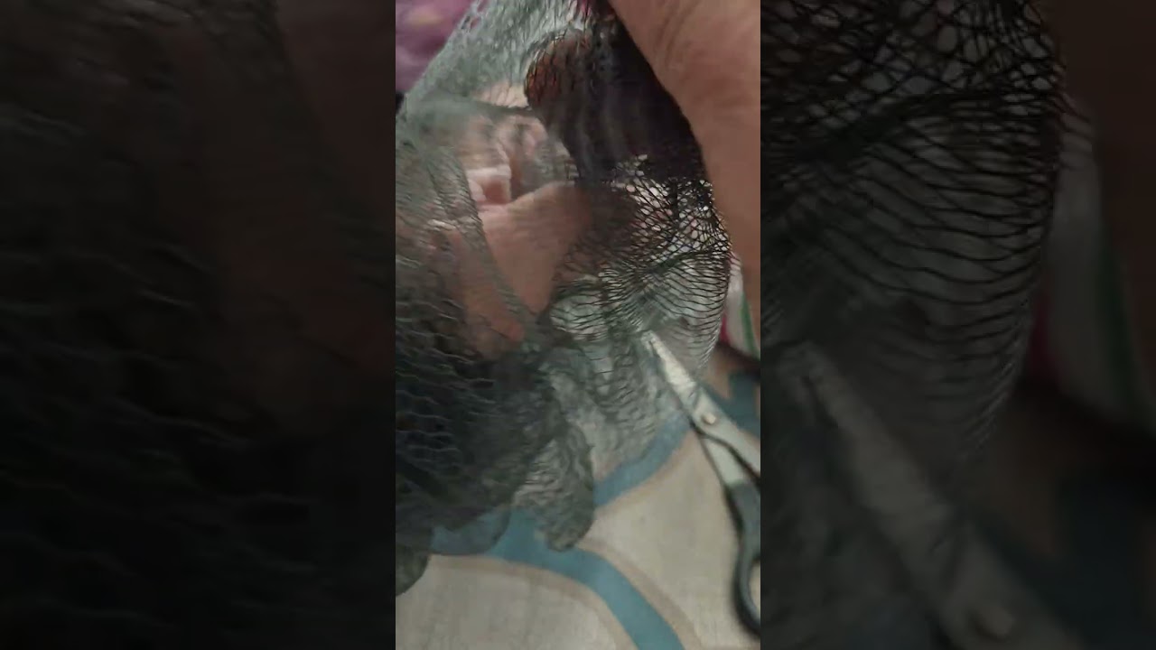 Flameless  Aroma Character Useing BHG Better Homes & Gardens Scented Wax Cubes.  