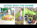 Getting ready for summer i summer shopping  best salad ever  garden chat