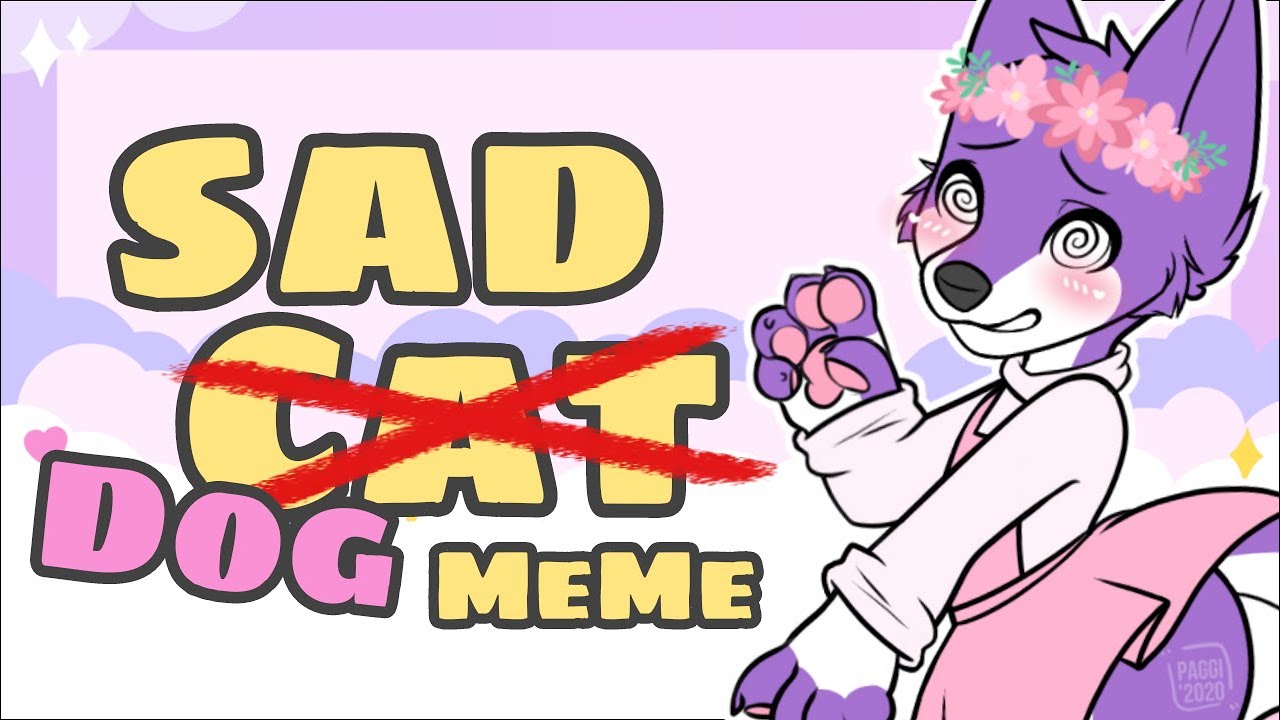 Sad cat dance//meme! <3 1