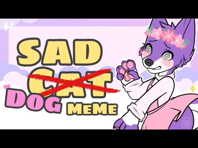 Sad cat dance meme #vtuber #fy #fyp #sadcatdance @toshiruz