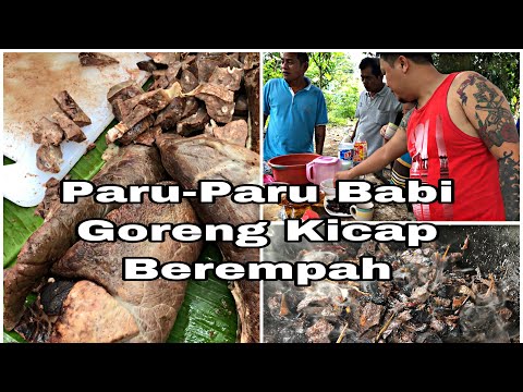 Video: Hidangan Panas Apa Yang Boleh Dibuat Dari Paru-paru Babi