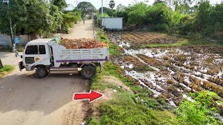 : FIRST Step in the Land Filling Process with Bulldozer D31Px &Dump Trucks! Into water