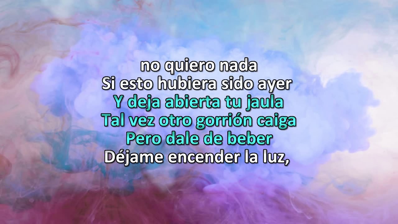 Lo que no fue no será Crisitian Castro Karaoke para rango vocal bajo