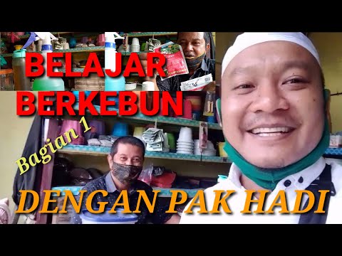 Video: Mama Bercabang Untuk Berkebun