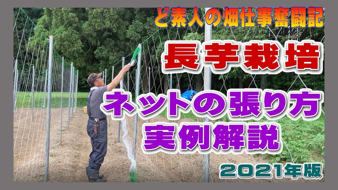 長芋栽培のネット張り作業についての解説入り紹介動画2021年版（長芋 