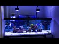 Lominie asta 20 led 2x aquarium light full spectrum saltwater 20 gallon