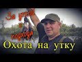 Охота на утку осенью. Удачная охота с подхода. Работа русского спаниеля по утке.