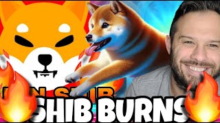 Shiba Inu Coin Burns Rise As Memes Like Dogeverse Should Launch Soon!