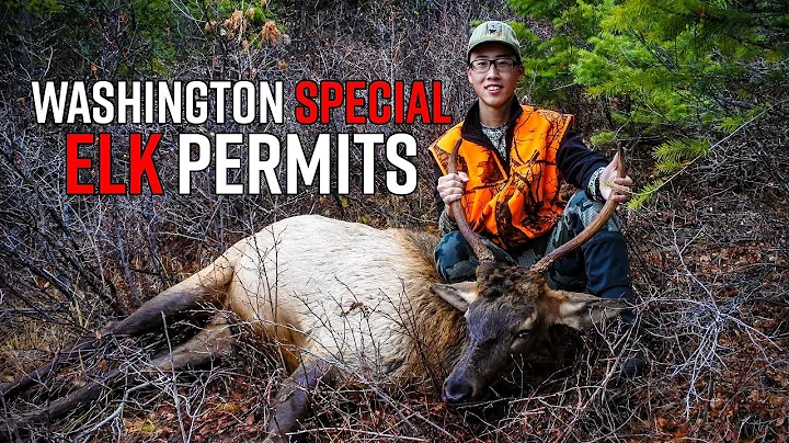 Washington Special Elk Hunt & Permit System | Special Permits Edition