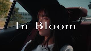 In Bloom