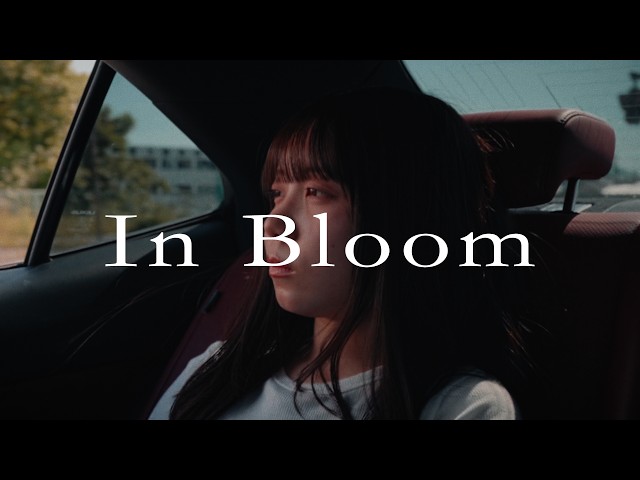 In BloomNEW!是是