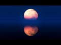 30 Minute Deep Sleep Music ★︎ Fall Asleep Instantly ★︎ Meditation Music, Stress Relief