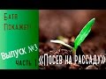 Посев семян на рассаду. tomato seedlings (Часть 1)